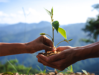 Concept of environmental conservation in the garden for children.